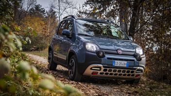 Après 12 ans, la Fiat Panda Pamit vient du Royaume-Uni