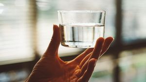 Minum Air Putih Sebelum Tidur Mampu Sehatkan Badan, Benarkah? Begini Penjelasannya