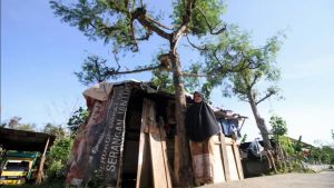 人类发展和文化协调部声称,在苏门答腊 - 巴布亚岛上进入的62个贫困地区中,有25个被成功降级