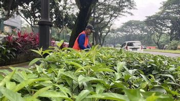 obligation de la loi de 30 pour cent de RTH, Jakarta C’est précisément Patok Cible Half