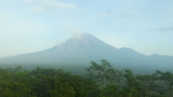 塞梅鲁火山在过去 12 小时内喷发了 24 次