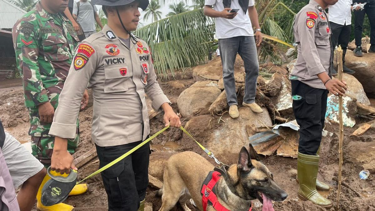 Polri Kerahkan Tim Anjing Pelacak Cari Korban Longsor Ternate