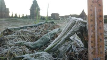 The Phenomenon Of Frost Appears Again In Dieng