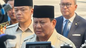 Prabowo Sebut KTT Perdamaian Mesir Jadi Awal Baru Perdamaian Menyeluruh di Palestina