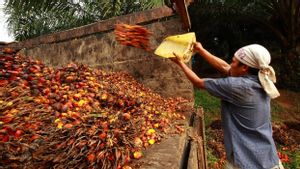SPKS Hopes the Government Will Immediately Evaluate the One-Door Palm Oil Export Plan