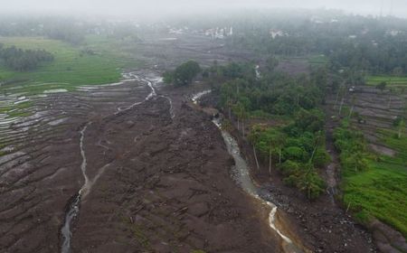 Kementan Siapkan Langkah Tangani Kerusakan Lahan Pertanian akibat Bencana Alam