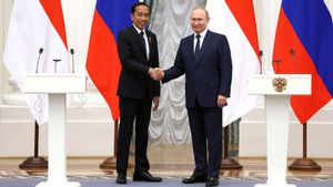 Perdagangan Rusia-Indonesia Naik 65 Persen dalam Lima Bulan Terakhir, Presiden Putin Nantikan Zona Perdagangan Bebas Indonesia - Uni Ekonomi Eurasia