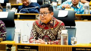 Bapanas Usulkan Rp16,10 Triliun Perkuat Ketahanan Pangan 2026