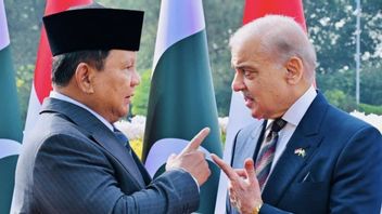 RI-Pakistan Bergerak, Prabowo Siap Kunjungi Iran untuk Redam Eskalasi