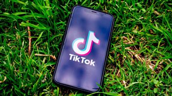 TikTok Launches Live Subscription This Week, Creators Can Predict Monthly Income