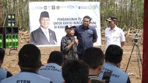 Gandeng PTPN IV, Pemerintah Mulai Bangun Hunian Tetap Korban Banjir Batang Toru