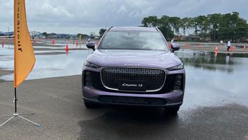 After Ensuring to Bring Pure Electric Car Products to Indonesia