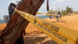 Bukan Bauksit, Tambang Ilegal di Cibinong Ternyata Galena