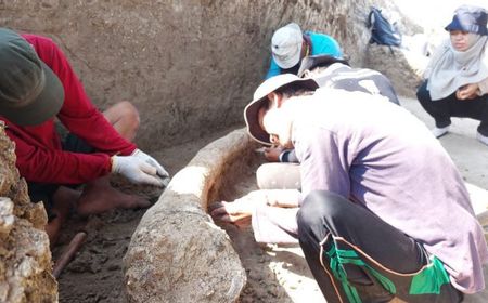 Tambah Temuan Gading Gajah dengan Usia 1,5 Juta Tahun, Total Fosil di Museum Patiayam Kudus Berjumlah 40