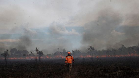 15 Hectares De Terres à Ogan Ilir Sumsel Brûlés, La Cause Fait Toujours L’objet D’une Enquête