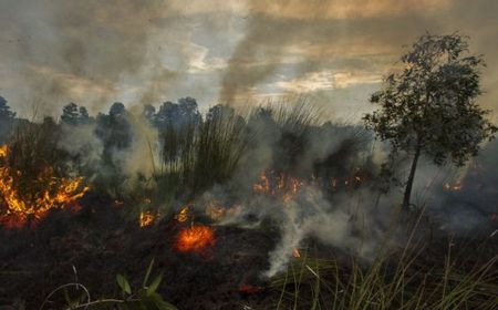 Petugas Gabungan Kembali Dikerahkan Padamkan Kebakaran Gunung Walat Sukabumi