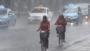Waspada Banjir, BMKG: Mayoritas Wilayah Indonesia Diguyur Hujan Hari Ini