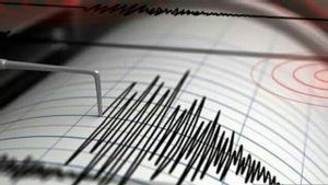 BPBD: Belum Ada Laporan Kerusakan Terkait Gempa Magnitudo 5 di Bogor