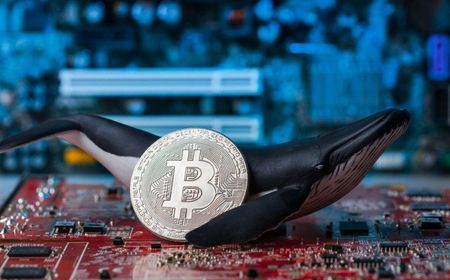 Pasar Kripto Pulih, Harga Bitcoin Naik Setelah Para Whale Nyerok BTC