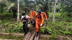 6 Hari Hilang di Hutan Barito Selatan, Kakek 75 Tahun Ditemukan Tak Bernyawa