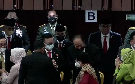 Sapaan Salam Surya Paloh Direspons Anggukan Megawati