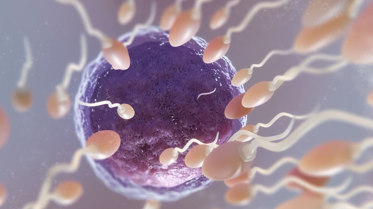 Berkaitan dengan Kesehatan Reproduksi Pria, Ini 4 Perubahan Warna Sperma yang Wajib Diwaspadai