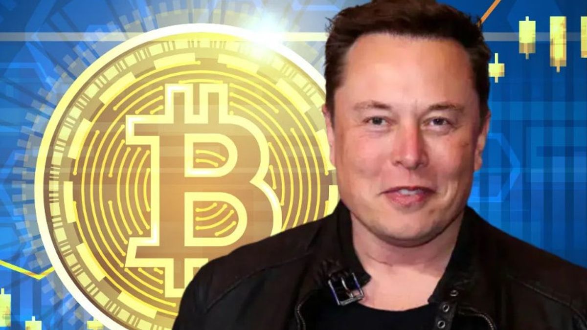 Résultats De L’enquête Australienne Think Elon Musk Est Le Créateur De Bitcoin