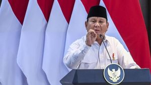 Bertemu Eks Menlu di Istana, Prabowo Sampaikan 2 Poin Penting