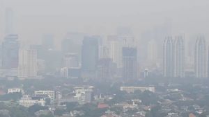  DPR Tambah Kerjaan, Bakal Bentuk Panja Polusi Udara Jakarta