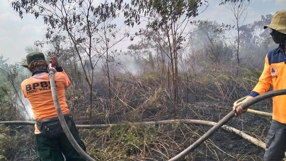 BPBD Sebut Ada 1.184 Titik Panas di Kalimantan Barat Sejak 2 September