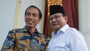 Mensesneg soal Pertemuan Presiden Prabowo dan Jokowi: Bahas Masalah Kebangsaan