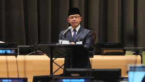 RI Salurkan Bantuan Pangan untuk Gaza Melalui WFP, Menlu Sugiono: Agar Cepat dan Tepat Sasaran