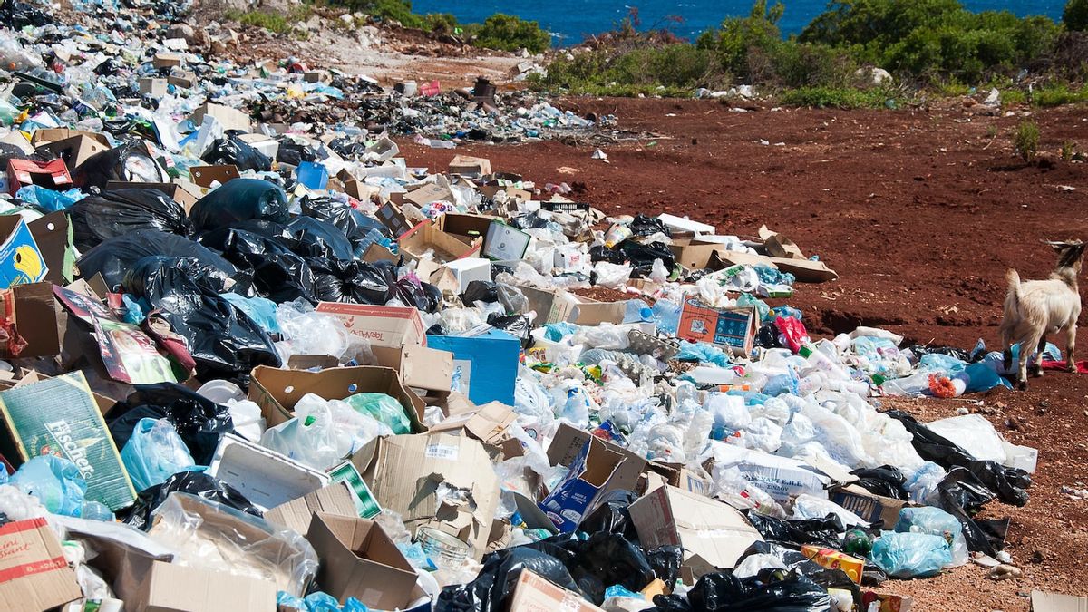 Petugas Dinas LHK Jaga Pasar-pasar di Kupang untuk Pantau Pengelolaan Sampah