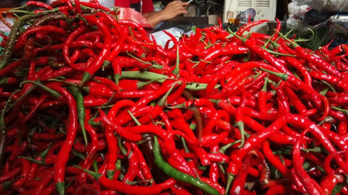 Red Chili Prices In West Aceh Rise To IDR 120,000 Per Kg