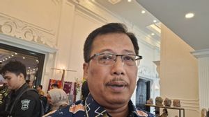 Tambah Jumlah Produksi Padi, 8 Ribu Hektare Lahan Rawa di Lampung Diolah Jadi Lahan Pertanian