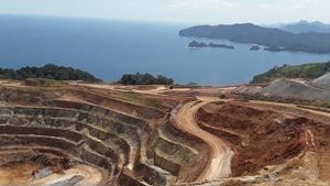 Merdeka Copper Gold, Perusahaan Milik Konglomerat Edwin Soeryadjaya dan Sandiaga Uno Raup Pendapatan Rp5,4 Triliun di 2021