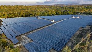 荷兰希望在印度尼西亚投资10.16万亿印尼盾,用于太阳能电池板到氢项目