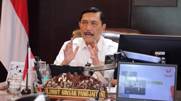 Luhut Brings Good News, Pfizer Will Invest In A Number Of Sectors In Indonesia