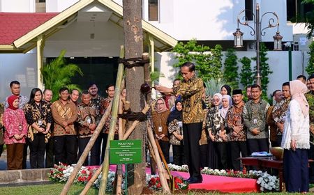 Jokowi-Iriana Tanam Pulai dan Flamboyan di Istana Jelang Purnatugas