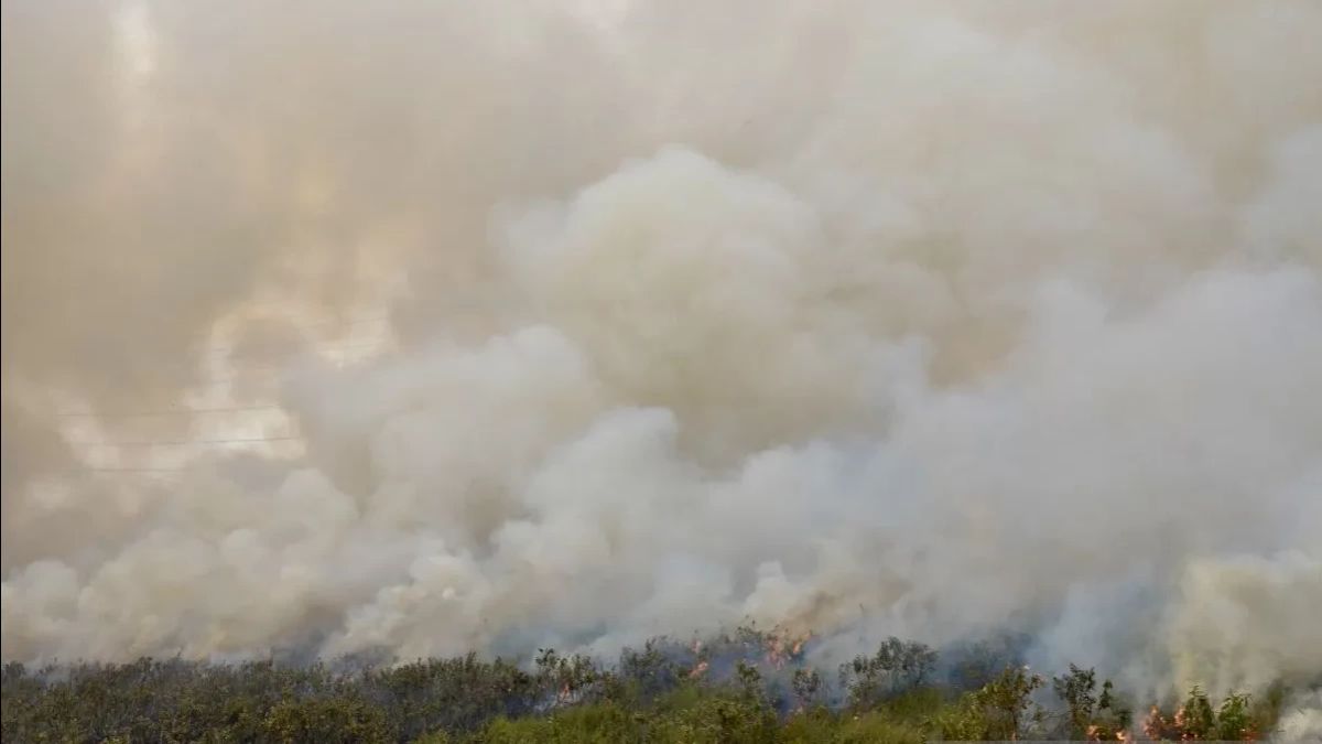 ダンレム101/アンタサリ:南カリマンタンの森林火災と土地火災の処理には、まだ人工雨が必要