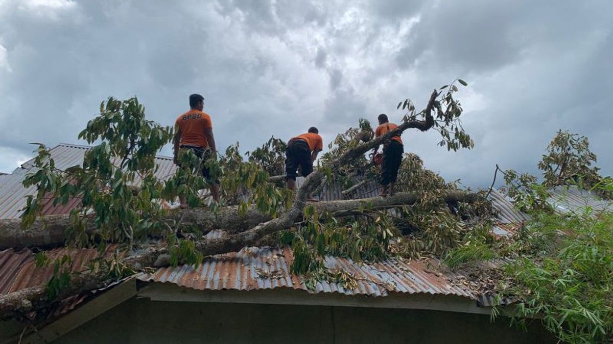 Schools And Shops In Agam, West Sumatra, Were Heavily Damaged By Falling Trees