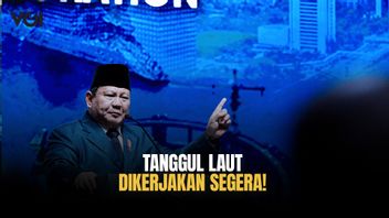 Presiden Prabowo Subianto Minta Proyek Giant Sea Wall Dikerjakan Segera