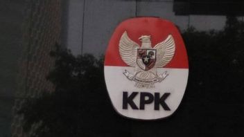 メガワティ・シングン 恩赦を受けるためのハストの事件の奇妙さ KPK: スマートで理解した社会