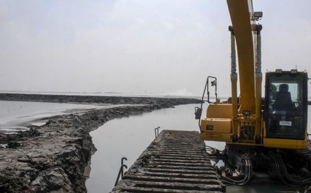 Dirjen Minerba Akui Eksplorasi Logam Tanah Jarang Indonesia Belum Maju