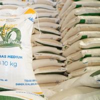 Bapanas Mulai Salurkan Bantuan Beras dan Minyak Goreng untuk 33,2 Juta Penerima