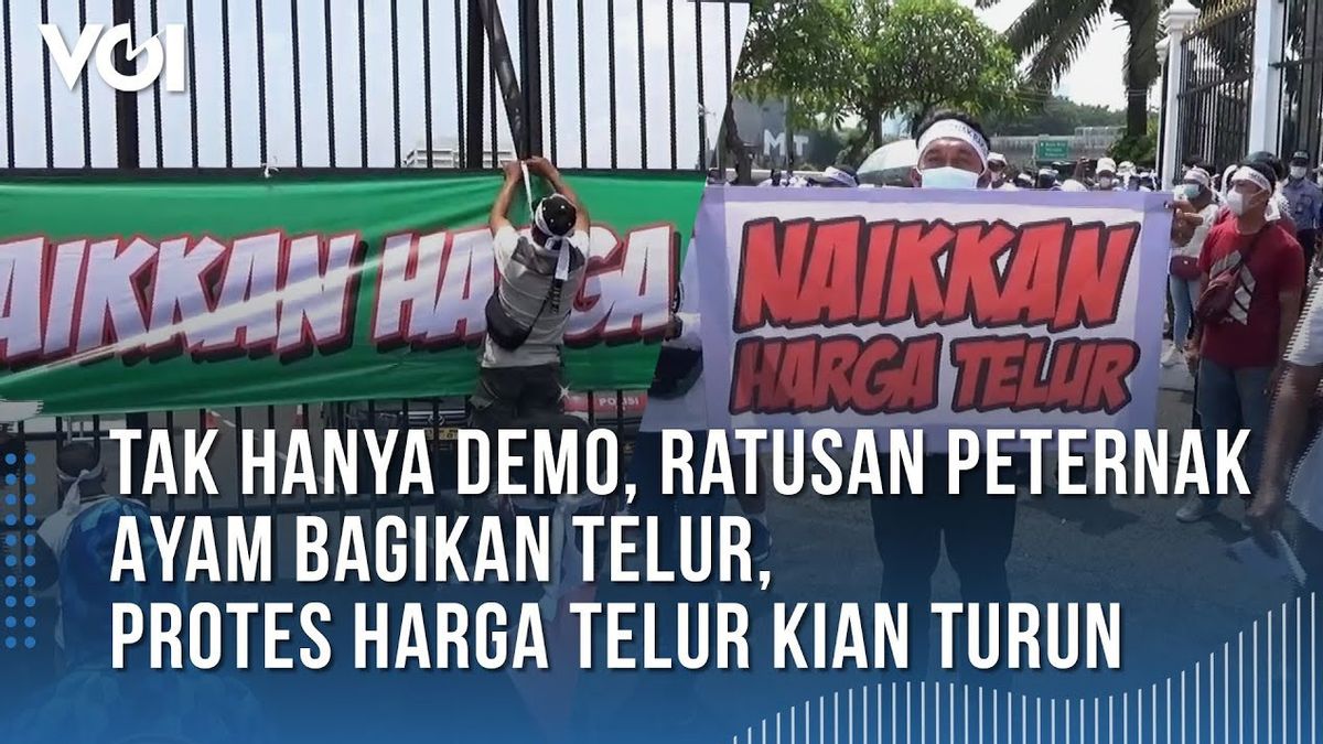 VIDEO: Demo Peternak Telur Ayam ke Jalanan Didampingi BEM, Tuntut Kemendag Stabilkan Harga
