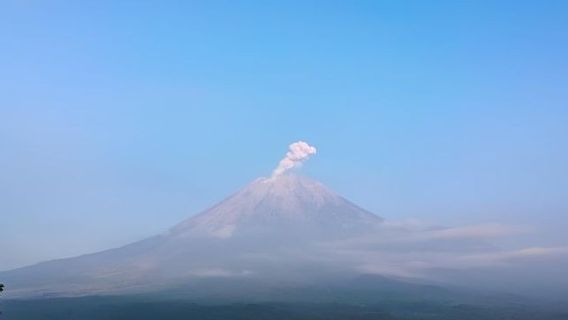 Waspada! Kamis Pagi Gunung Semeru Kembali Lontarkan Abu Vulkanik 1 Km