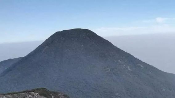 Donc, la piste PON XXI, la escalade de Gede Pangrango est fermée ce week-end