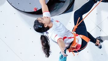 Connaître le sport de l'escalade et ses règles: Speed, Boulder et Lead