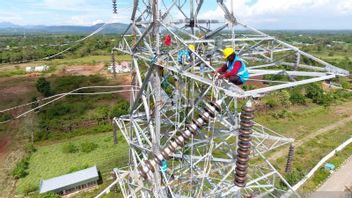 PLN Asks People To Do This Amid Extreme CUaca